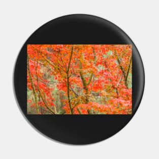 Japanese Maple Pin