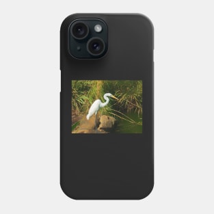 Great White Egret By Water Phone Case