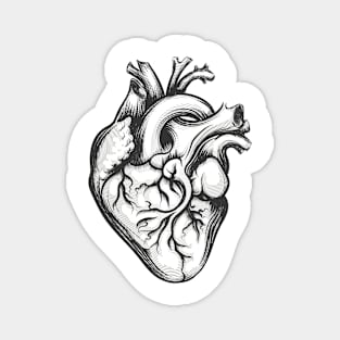 Human heart Magnet