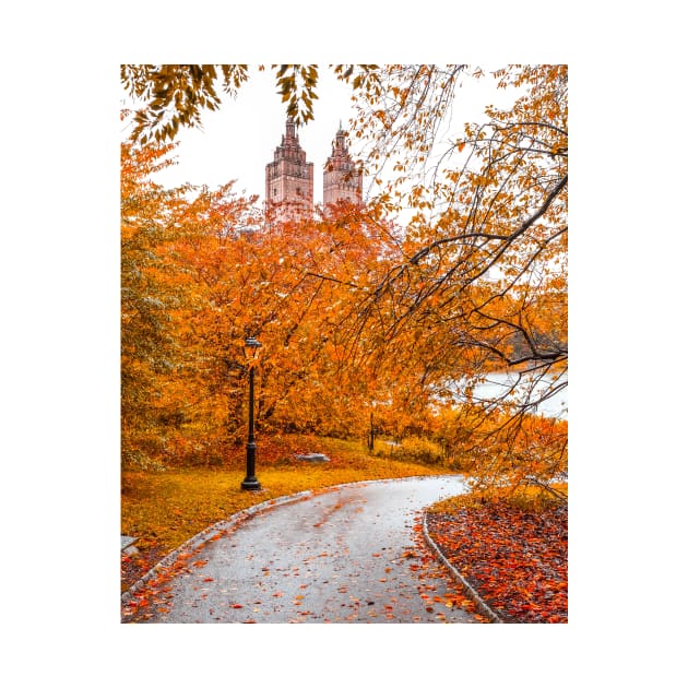 Central Park Fall 5 by igjustin