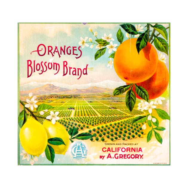 Blossom Brand crate label by WAITE-SMITH VINTAGE ART