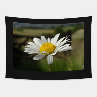 Ox Eye Daisy Tapestry