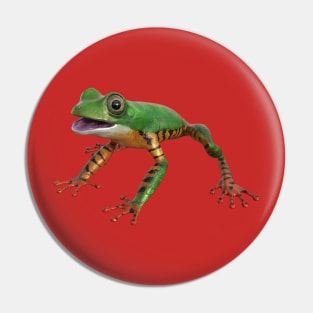 Tiger leg monkey tree frog Pin