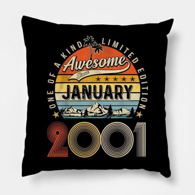 Awesome Since February 2001 Vintage 22nd Birthday Pillow by PlumleelaurineArt