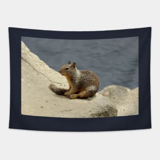 Squirrel, wildlife, gifts, animals, Squirrelly Happiness Tapestry