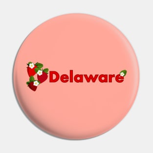 Delaware Pin