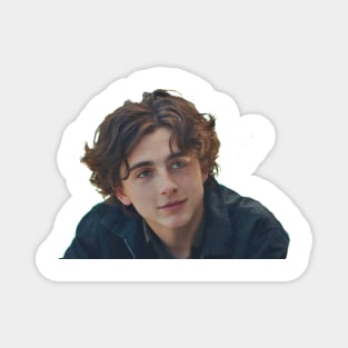 Thimotée Chalamet Magnet