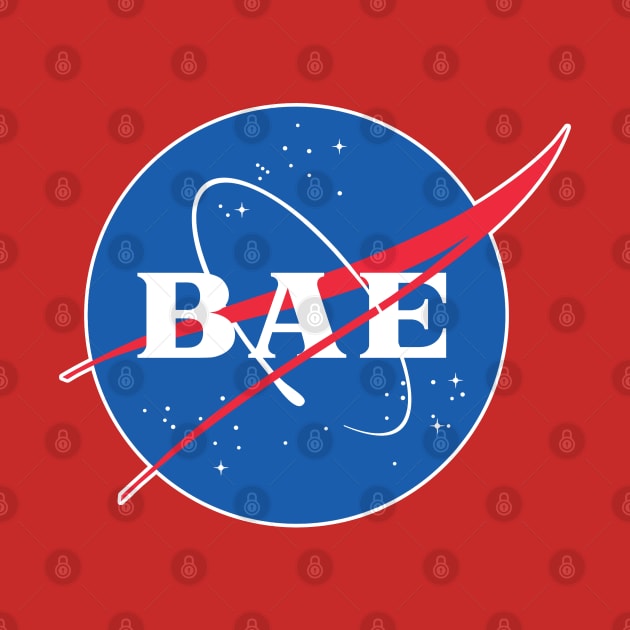 BAE - Nasa Parody Logo Design by DankFutura