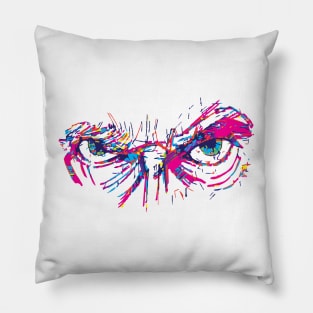 Capaleidoscope Pillow