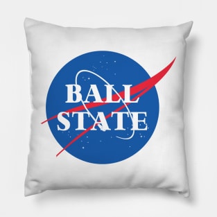 Ball State University - NASA Meatball Pillow