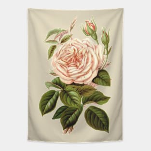 Tea Rose Flower Botanical Illustration Tapestry