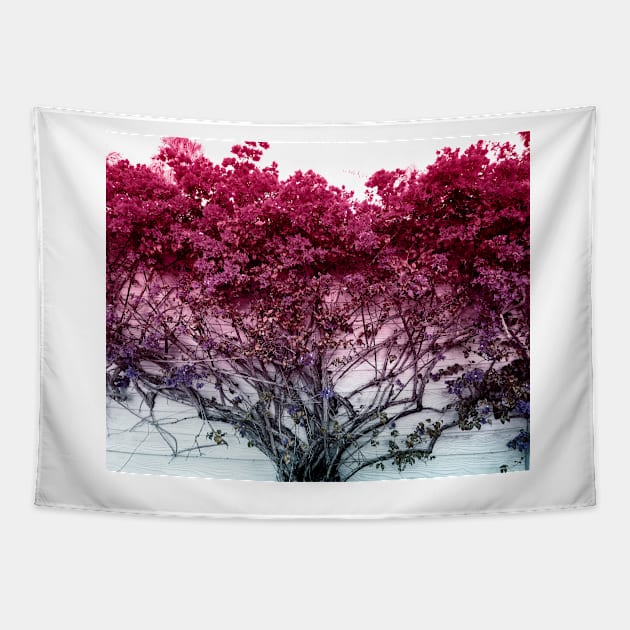 Tropical Pink Flower Blooms Tapestry by AmyBrinkman