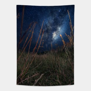 Milky Way Walk, our galaxy on a night walk Tapestry