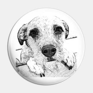 Seymour Cute Dog Pin