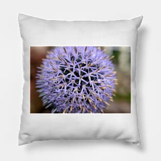 Small Globe Thistle 7 Pillow