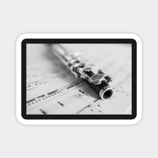 Wooden flute on sheet music Magnet