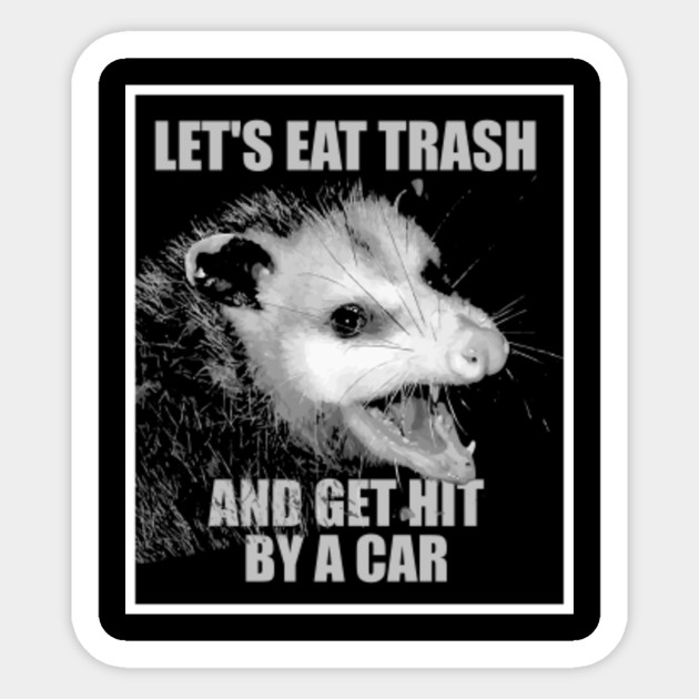 Let S Eat Trash And Get Hit By A Cat Shirt Funny Possum Meme Tee