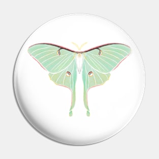 Luna Moth, Moon Moth, Green Moth Pin