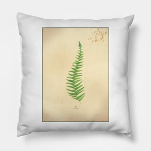 Fern, botanical watercolor painting Pillow