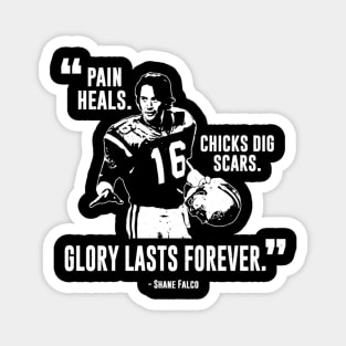 Shane Falco Pain heals Magnet