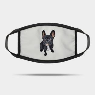 french bulldog clothes australia