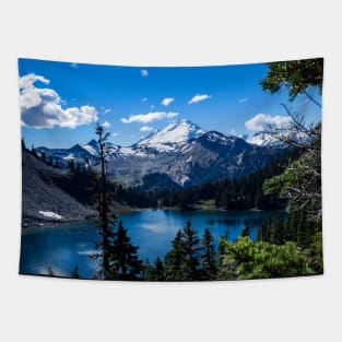 Mt Baker and Baker Lake Tapestry