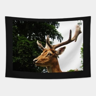 Portrait of a Deer Tapestry