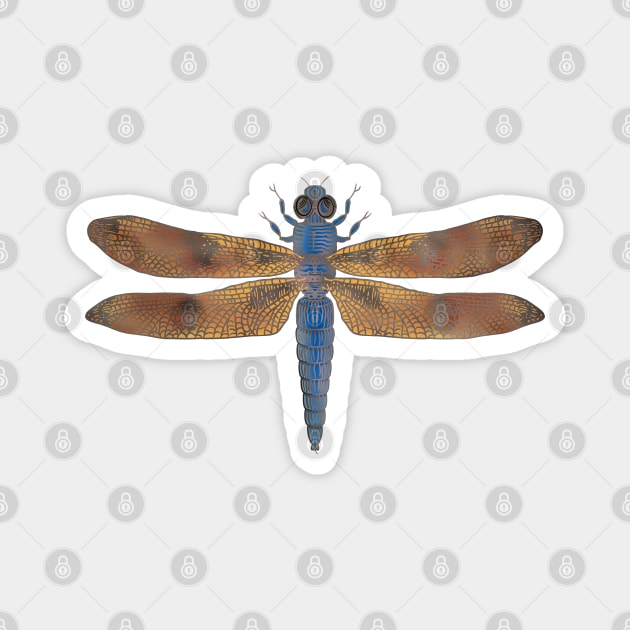 Dragonfly #4 -  blue with brown wings Magnet by DaveDanchuk