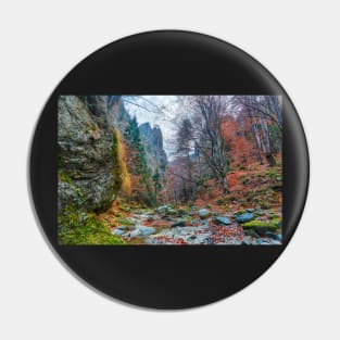 Canyon in mountains Pin