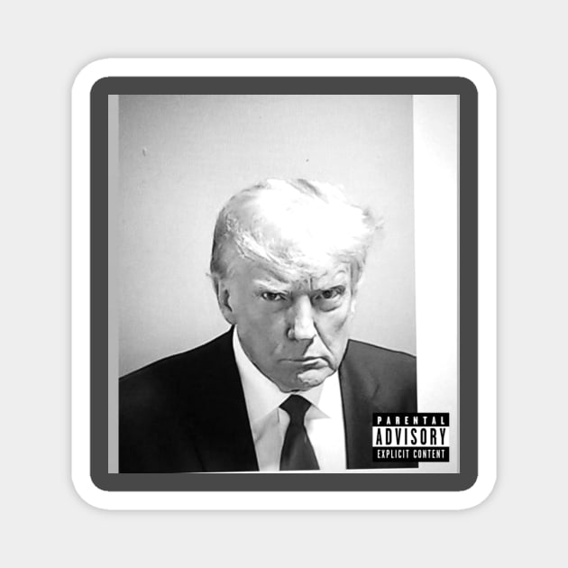 Donald Trump Mugshot Album Cover Trump TeePublic