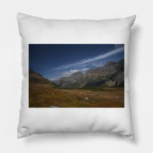 850_6481 Pillow