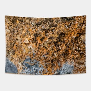 Rustic Seaside Erosion Texture Tapestry