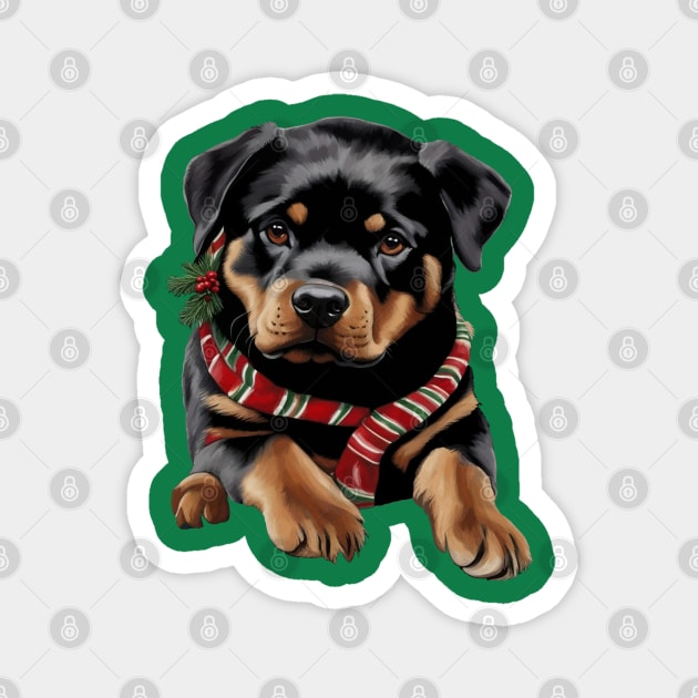 Xmas Rottweiler Dog Christmas Wearing A Scarf Magnet by taiche