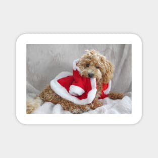 Maltipoo Santa Magnet