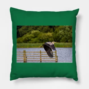 Grey Heron in flight Pillow