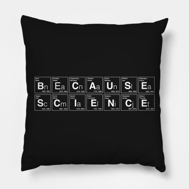 BECAUSE SCIENCE Pillow by Yeldar