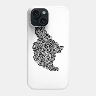 Chelan County, Washington Phone Case