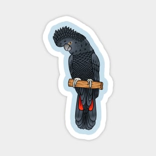 Red-tailed black cockatoo bird cartoon Magnet