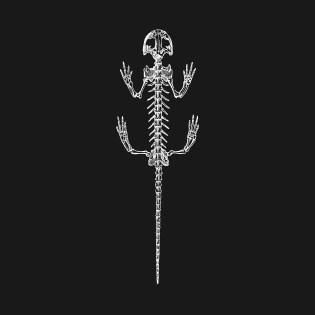 Salamander Skeleton by tommartinart