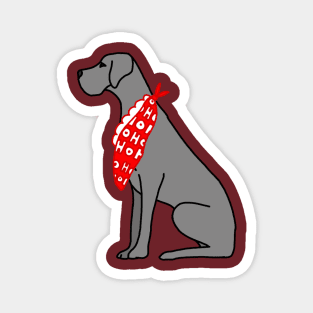 Festive Great Dane Magnet