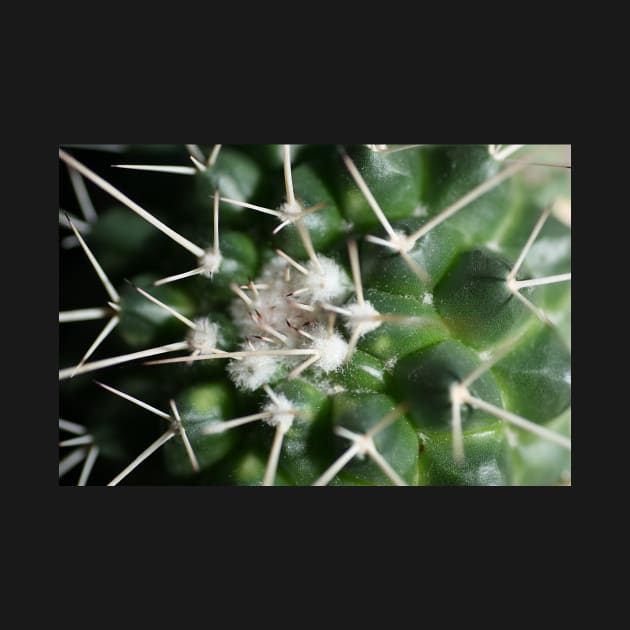 Spikey, Prickly, Ouch !!!! by Carole-Anne