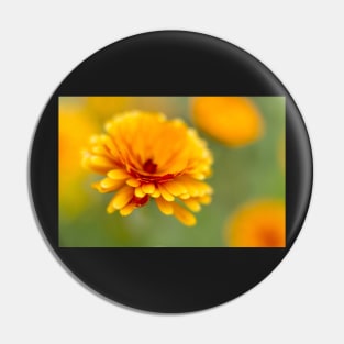 Marigold Flower Pin