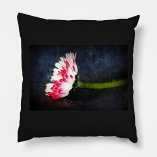 red tipped Daisy 2 Pillow