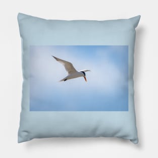 Royal Tern In Flight Pillow