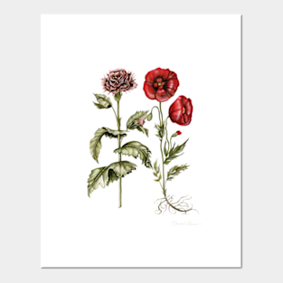 Poppies Posters And Art Prints Teepublic