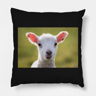 Cheeky Lamb Pillow