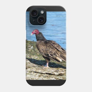 Turkey Vulture Standing On A Beach Phone Case