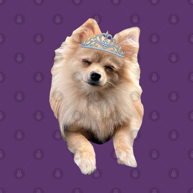 Princess Puffins Pomeranian by SHOP.DEADPIT.COM 