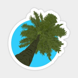 Tropical Shade Coconut Tree Magnet