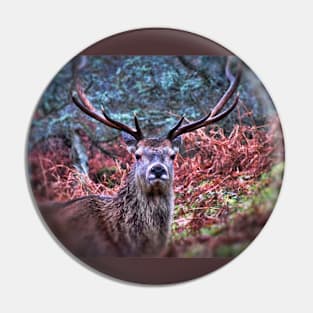 Deer Portrait Pin